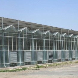 阳光板温室与连栋薄膜温室大棚的区别