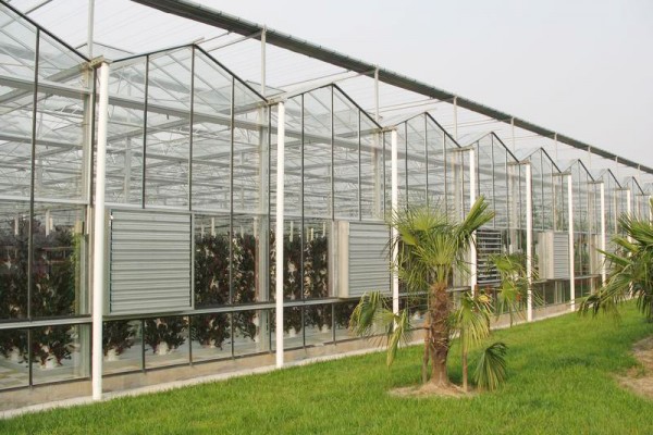 温室案例