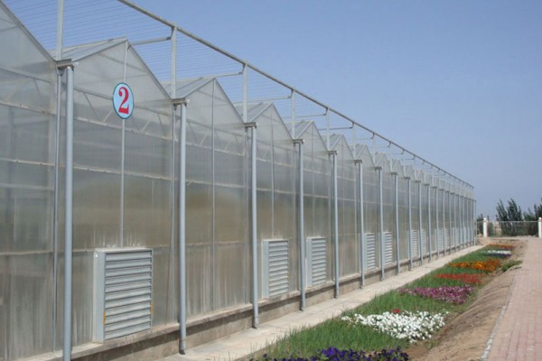 阳光板温室