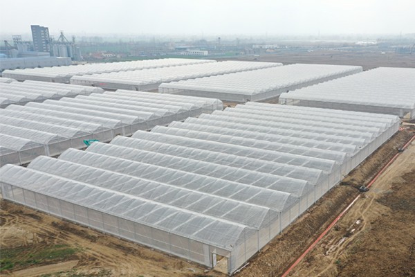 连栋薄膜温室
