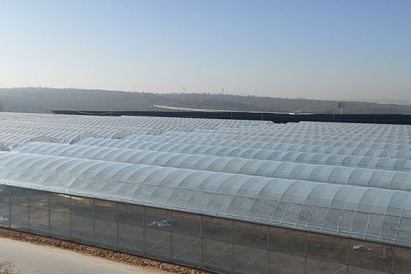 连栋薄膜温室