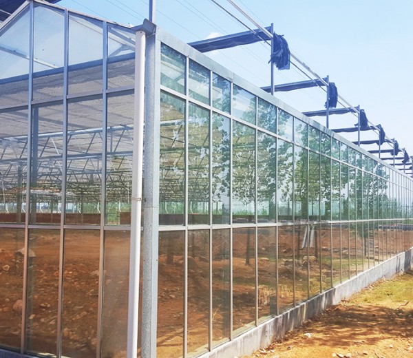 玻璃温室