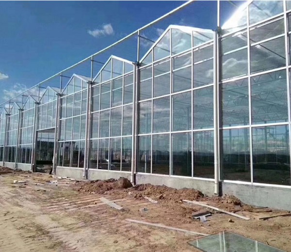 玻璃温室