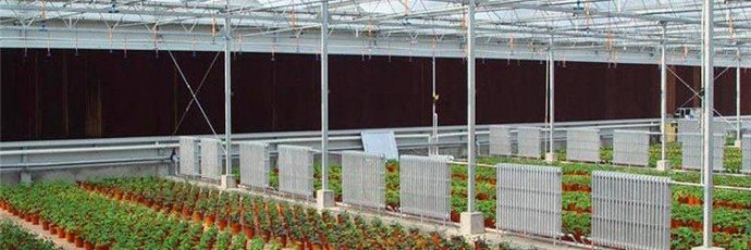 玻璃温室的应用