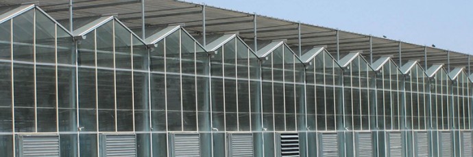 阳光板温室与连栋薄膜温室大棚的区别