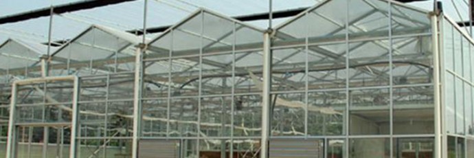 解析玻璃温室大棚的优点