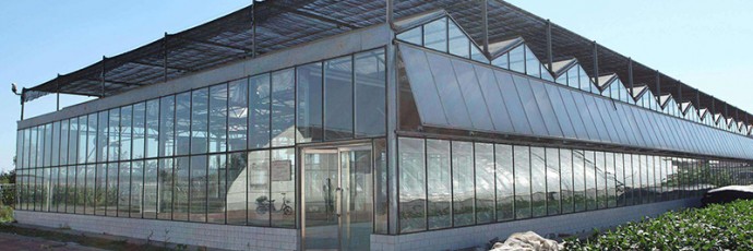 连栋温室的使用事项有哪些？