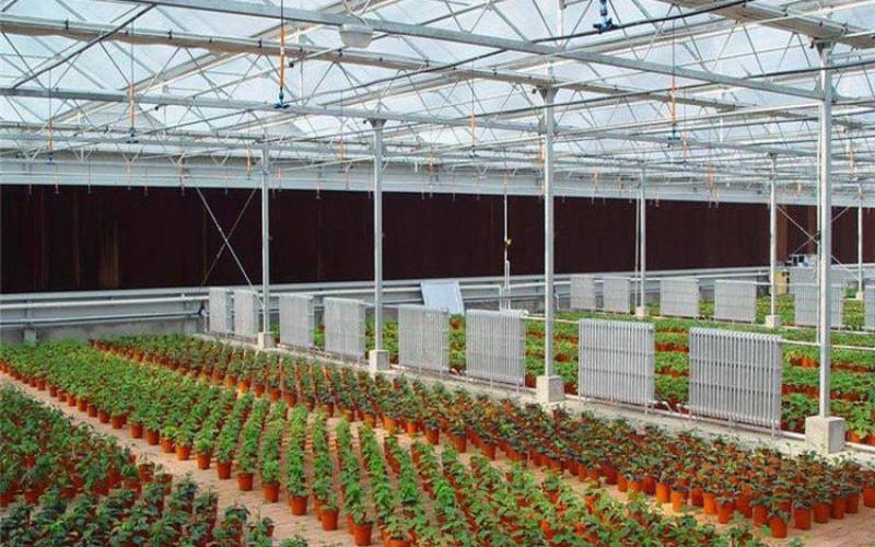 玻璃温室的应用