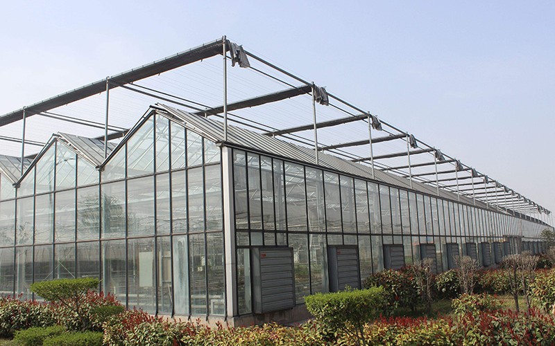 玻璃温室大棚的覆盖材料