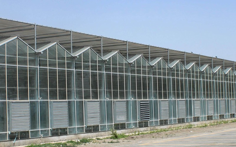 阳光板温室与连栋薄膜温室大棚的区别