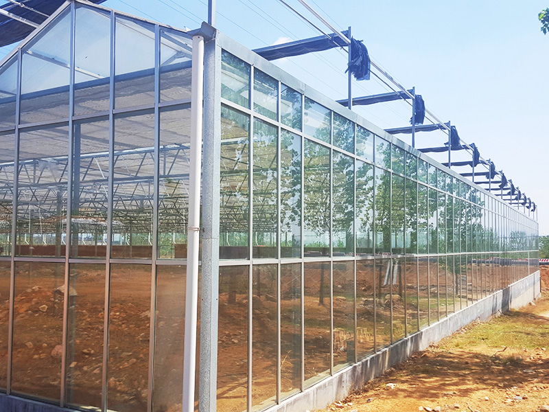玻璃-纹络-智能温室-(1).jpg
