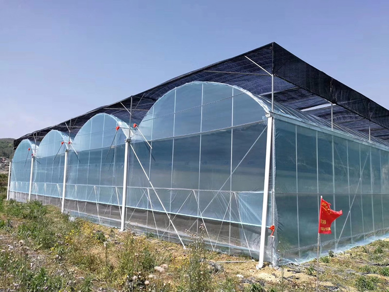 薄膜温室-(6).jpg